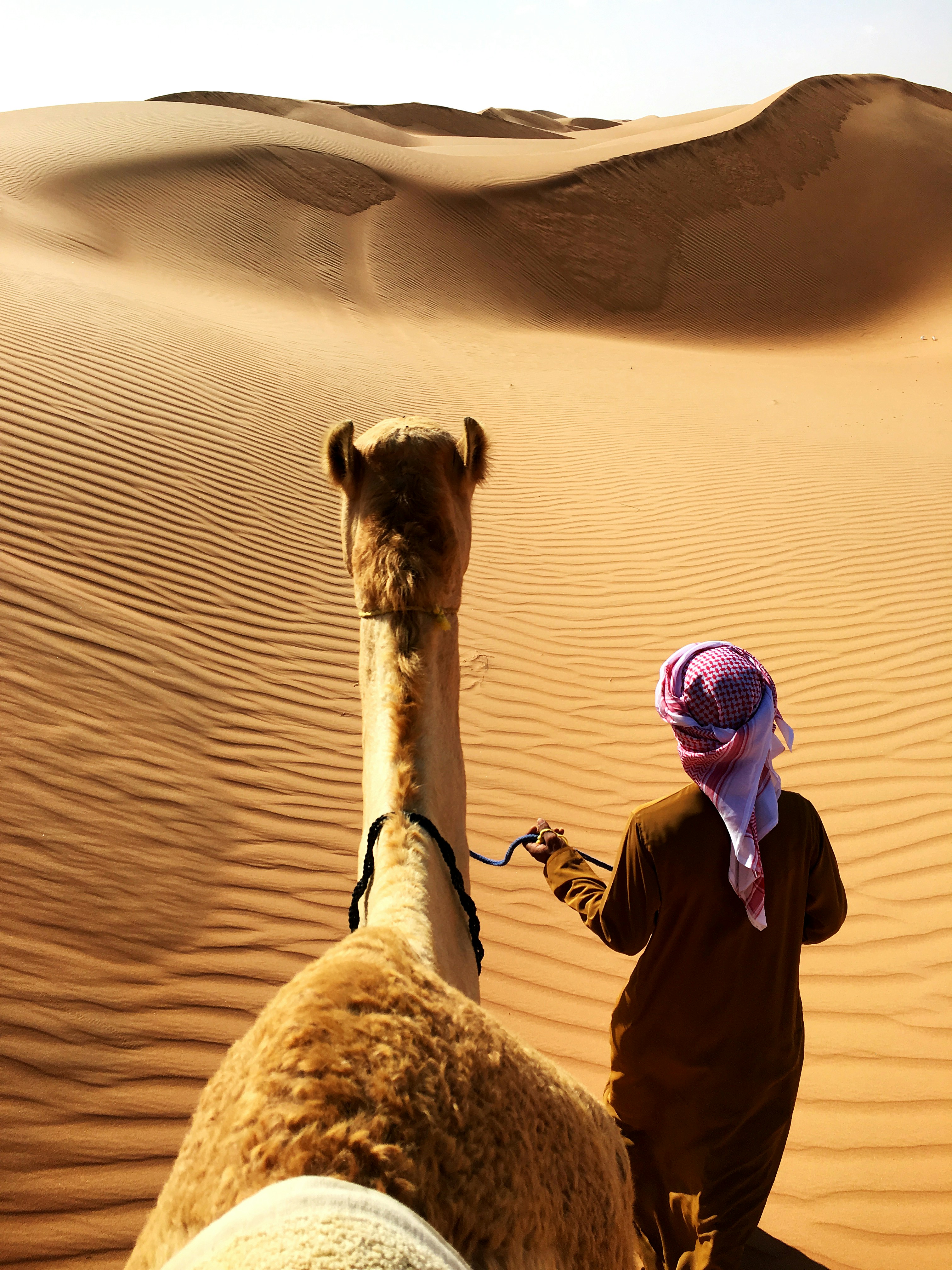 Camel Riding